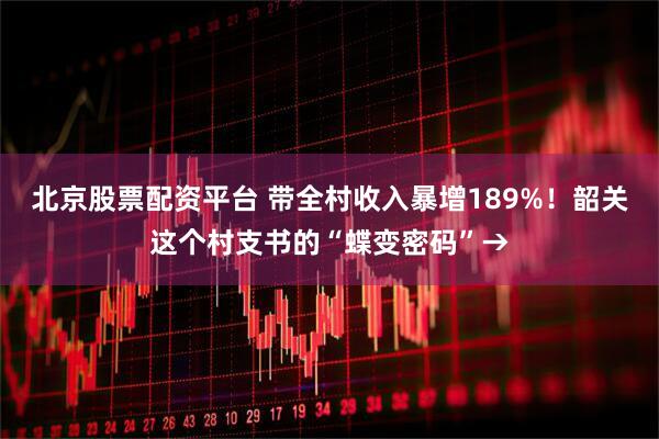 北京股票配资平台 带全村收入暴增189%！韶关这个村支书的“蝶变密码”→