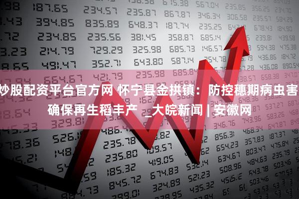 炒股配资平台官方网 怀宁县金拱镇：防控穗期病虫害 确保再生稻丰产  _大皖新闻 | 安徽网
